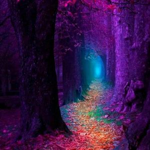 Meet your Posher, Ruth